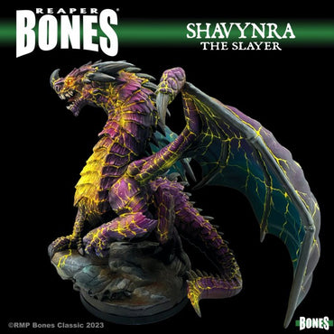 Reaper Miniatures: Bones Classic Deluxe Boxed Set: Shavynra The Slayer, Huge Dragon