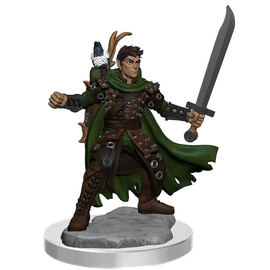 Dungeons And Dragons: Frameworks: W2a Male Half-elf Ranger