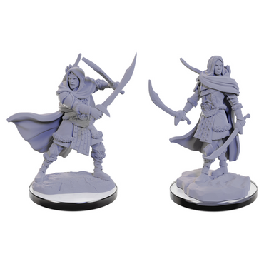 Dungeons And Dragons Nolzur's Marvelous Miniatures: W22 Human Rangers