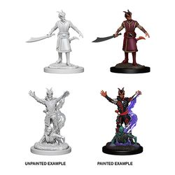 Dungeons And Dragons: Nolzur's Marvelous Unpainted Miniatures -w6-male Tiefling Warlock