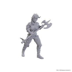 Dungeons And Dragons Nolzur's Marvelous Miniatures: Special Edition Baldur's Gate 3: Wyll And Karlach