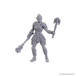 Dungeons And Dragons Nolzur's Marvelous Miniatures: Special Edition Baldur's Gate 3: Dame Aylin And Minthara