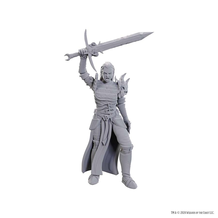 Dungeons And Dragons Nolzur's Marvelous Miniatures: W25 Blackguard