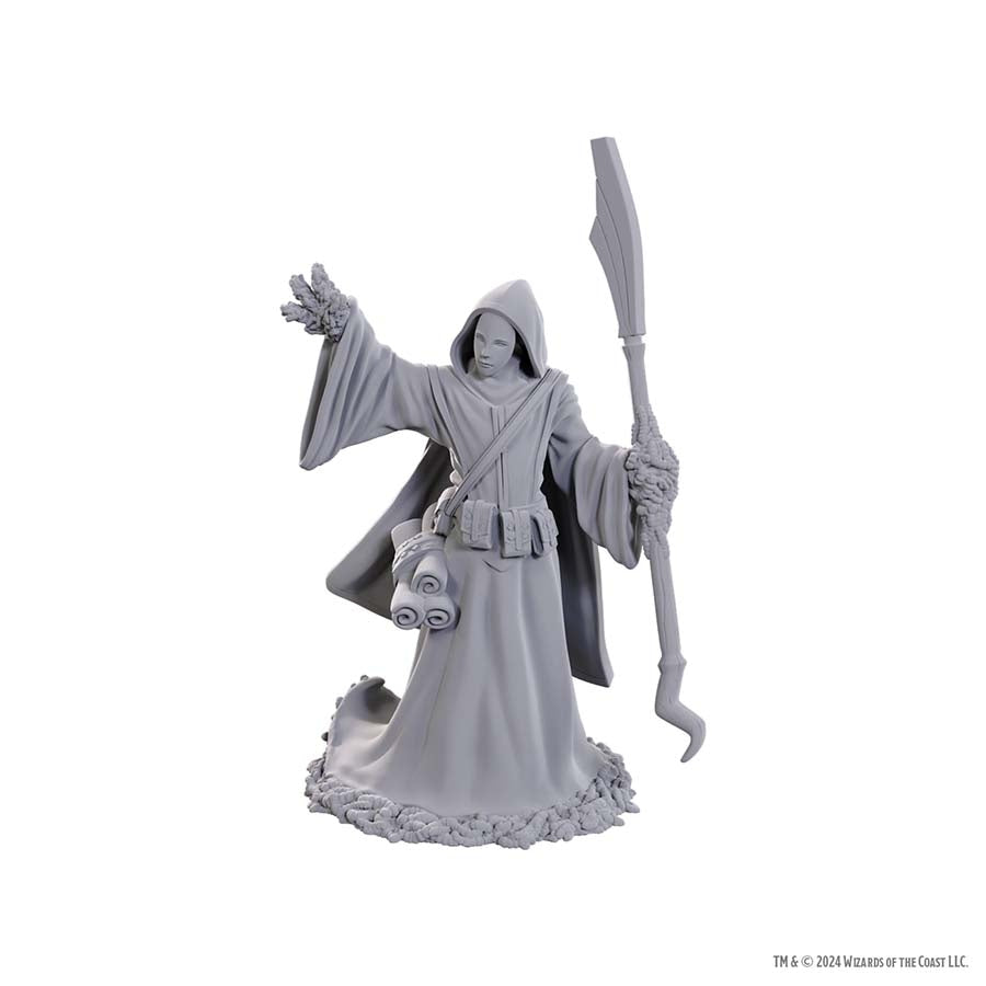 Dungeons And Dragons Nolzur's Marvelous Miniatures: W25 Star Spawn Larva Mage