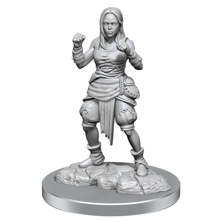 Pathfinder: Deep Cuts Unpainted Miniatures: W21 Female Half-elf Monks