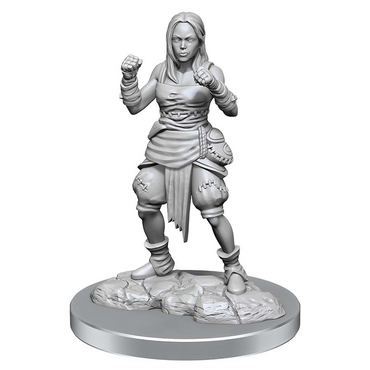 Pathfinder: Deep Cuts Unpainted Miniatures: W21 Female Half-elf Monks