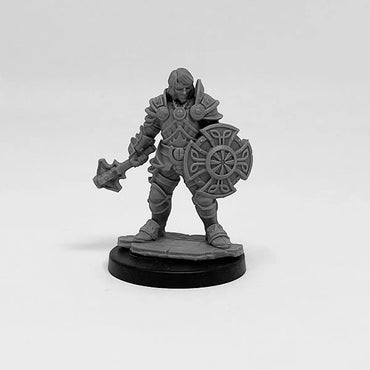 Next Level Miniatures: Player Character Set: Human Cleric and Monk