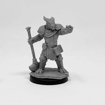 Next Level Miniatures: Player Characters: Aasimar Paladin and Dragonborn Cleric