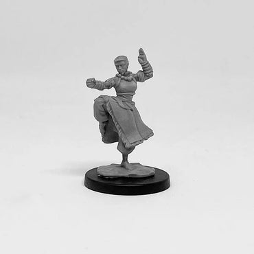 Next Level Miniatures: Player Character Set: Human Cleric and Monk