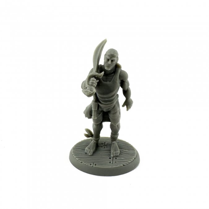 Reaper Miniatures: Pirate Rake