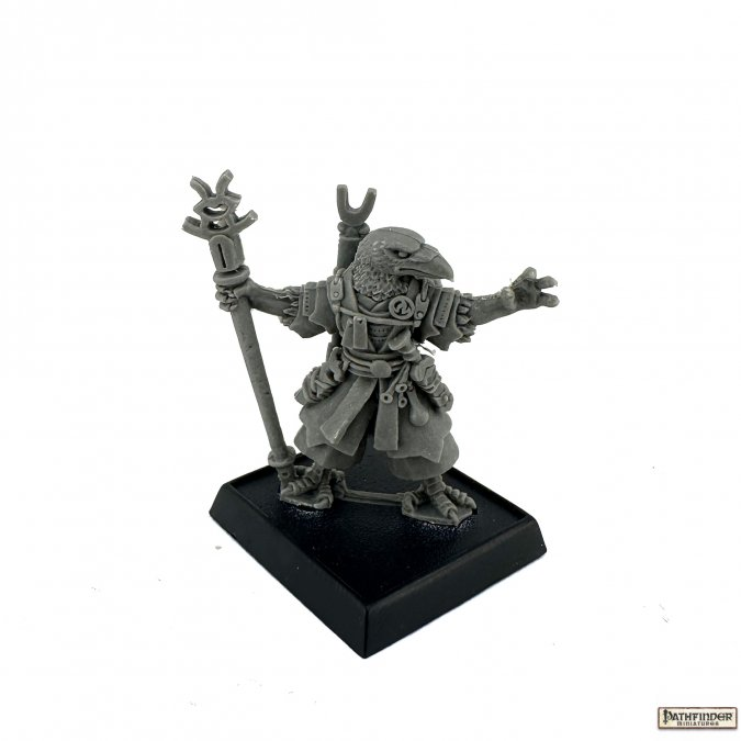 Reaper Miniatures: Korakai, Iconic Oracle