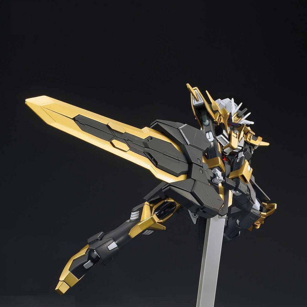 Bandai HGBF #055 1/144 Gundam Schwarzritter "Gundam Build Fighters Amazing"