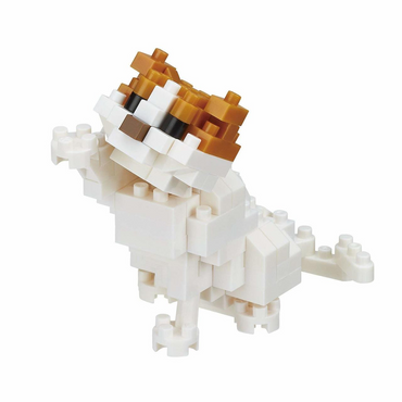 Nanoblock Collection Series Cat Breed (Scottish Fold) "Cats"