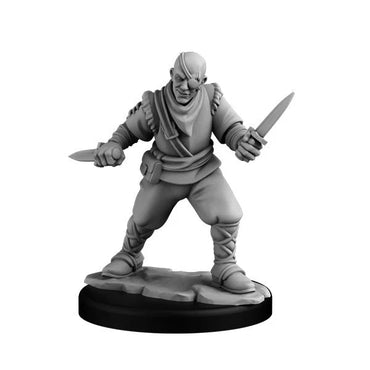 Next Level Miniatures: Bandit Set 1 (2)