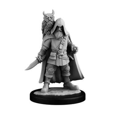 Next Level Miniatures: NPC Set: Wizard and Ranger