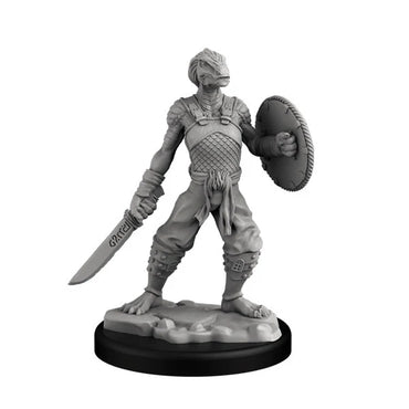 Next Level Miniatures: Player Characters Set: Dragonborn Fighter and Monk