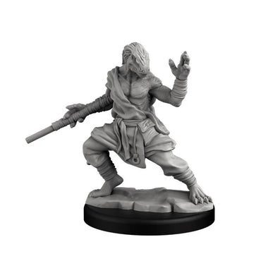 Next Level Miniatures: Player Characters Set: Dragonborn Fighter and Monk