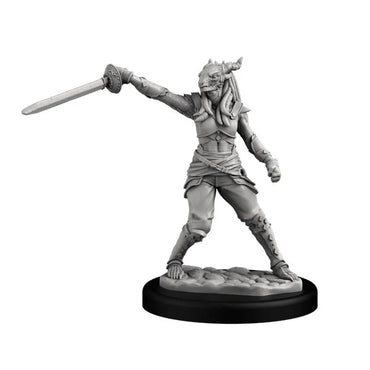 Next Level Miniatures: Player Character Set: Dragonborn Swashbucklers (2)