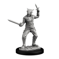 Next Level Miniatures: Player Character Set: Dragonborn Swashbucklers (2)