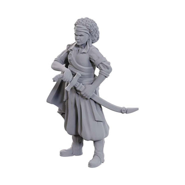 Dungeons And Dragons Nolzur's Marvelous Miniatures: W23 Ansalon Human Rogue