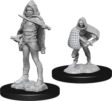 Dungeons & Dragons Nolzur`s Marvelous Unpainted Miniatures: W13 Darkling Elder & Darklings