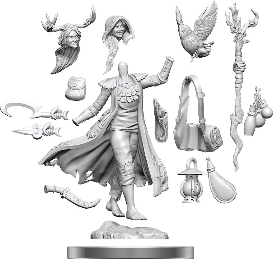 Dungeons and Dragons Frameworks: Human Druid Female