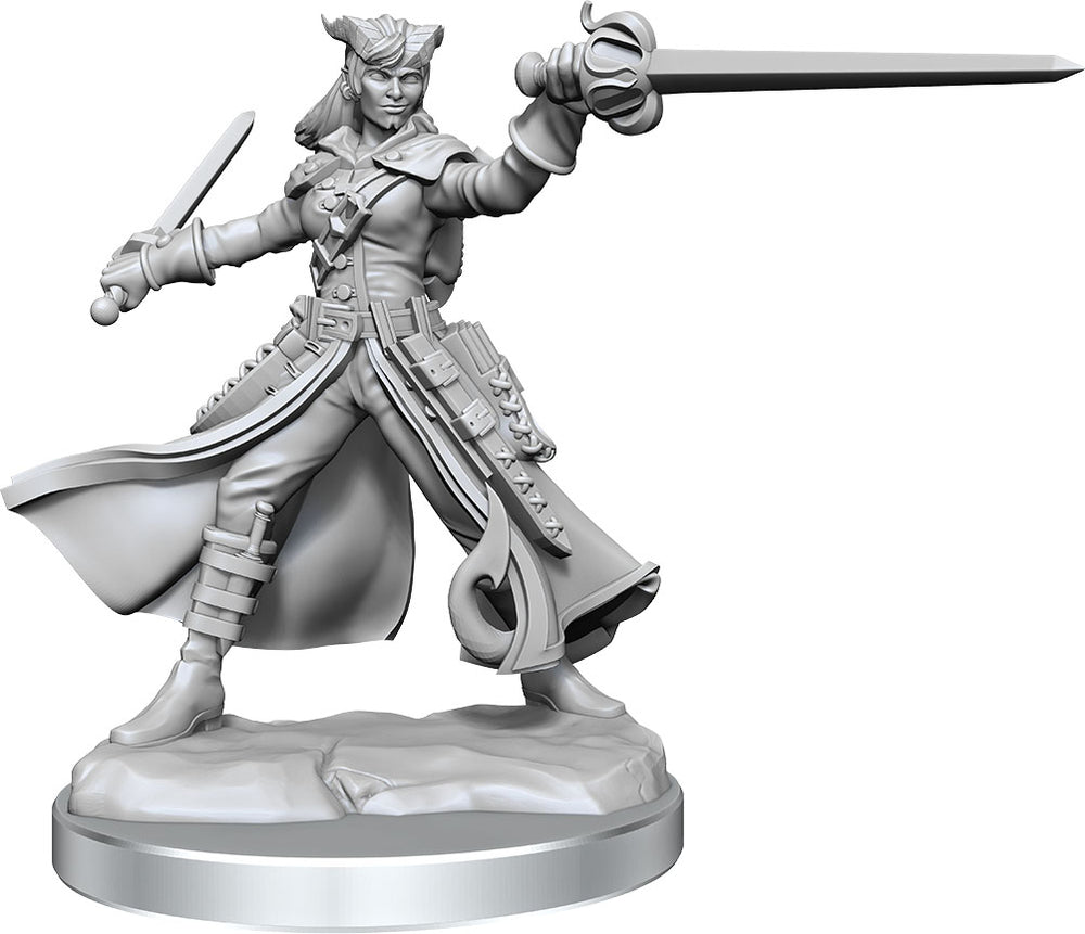 Dungeons and Dragons Frameworks: Tiefling Rogue Female