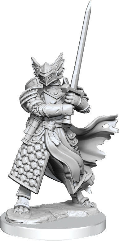 Dungeons and Dragons Frameworks: Dragonborn Paladin Male