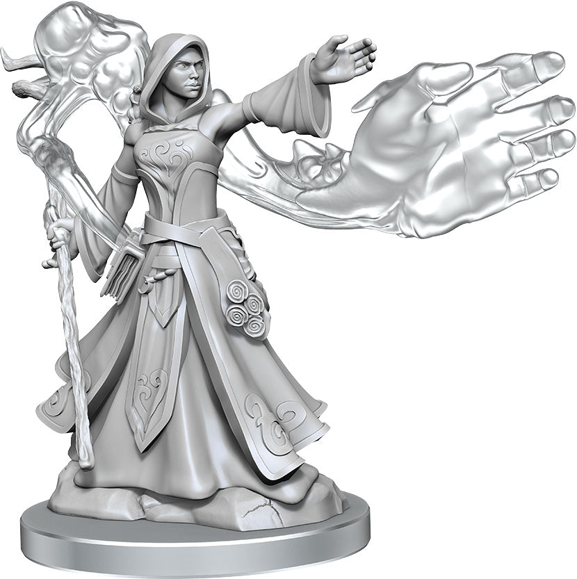 Dungeons and Dragons Frameworks: Elf Wizard Female