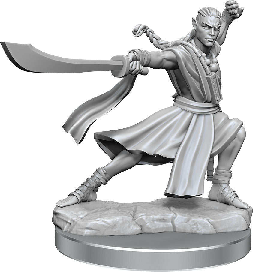 Dungeons and Dragons Frameworks: Elf Monk Male