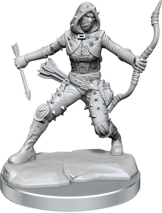 Dungeons and Dragons Frameworks: Human Rogue Female
