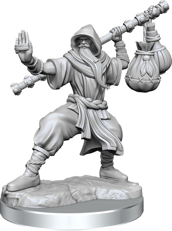Dungeons and Dragons Frameworks: Human Monk Male