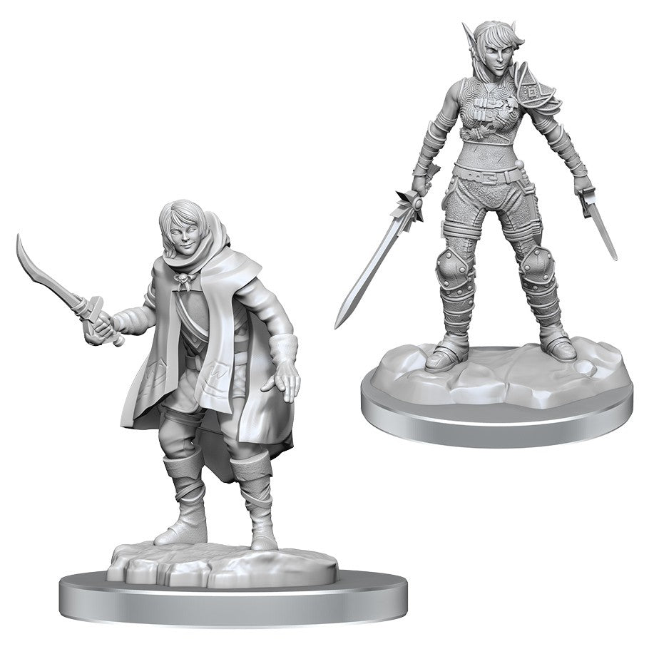 Dungeons And Dragons Nolzur's Marvelous Miniatures: W19 Elf Rogue & Half-elf Rogue Protege