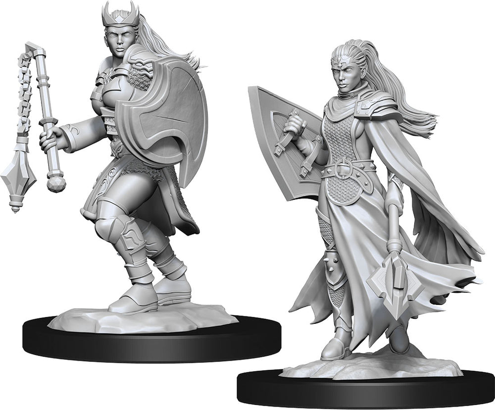 Dungeons and Dragons Nolzur's Marvelous Miniatures: W14 Female Kalashtar Cleric