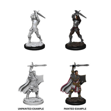 Dungeons and Dragons: Nolzur's Marvelous Unpainted Miniatures: Male Human Paladin