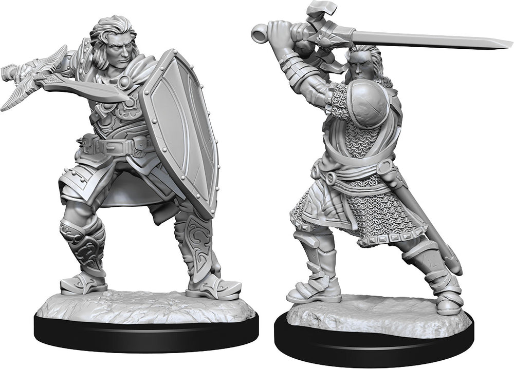 Dungeons and Dragons Nolzur's Marvelous Miniatures: W14 Male Human Paladin
