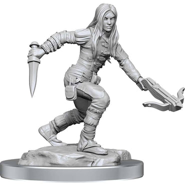 Dungeons and Dragons Nolzur`s Marvelous Unpainted Miniatures: W17 Half-Elf Rogue Female