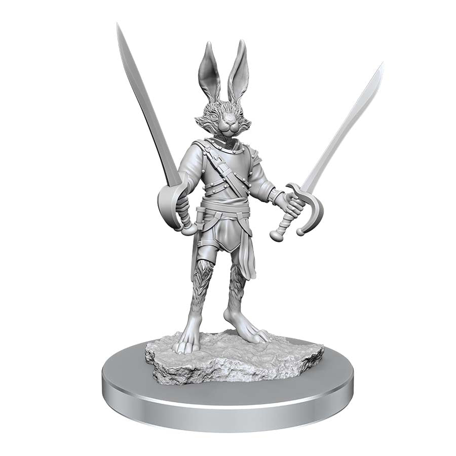 Dungeons and Dragons Nolzur`s Marvelous Unpainted Miniatures: W17 Harengon Rogues