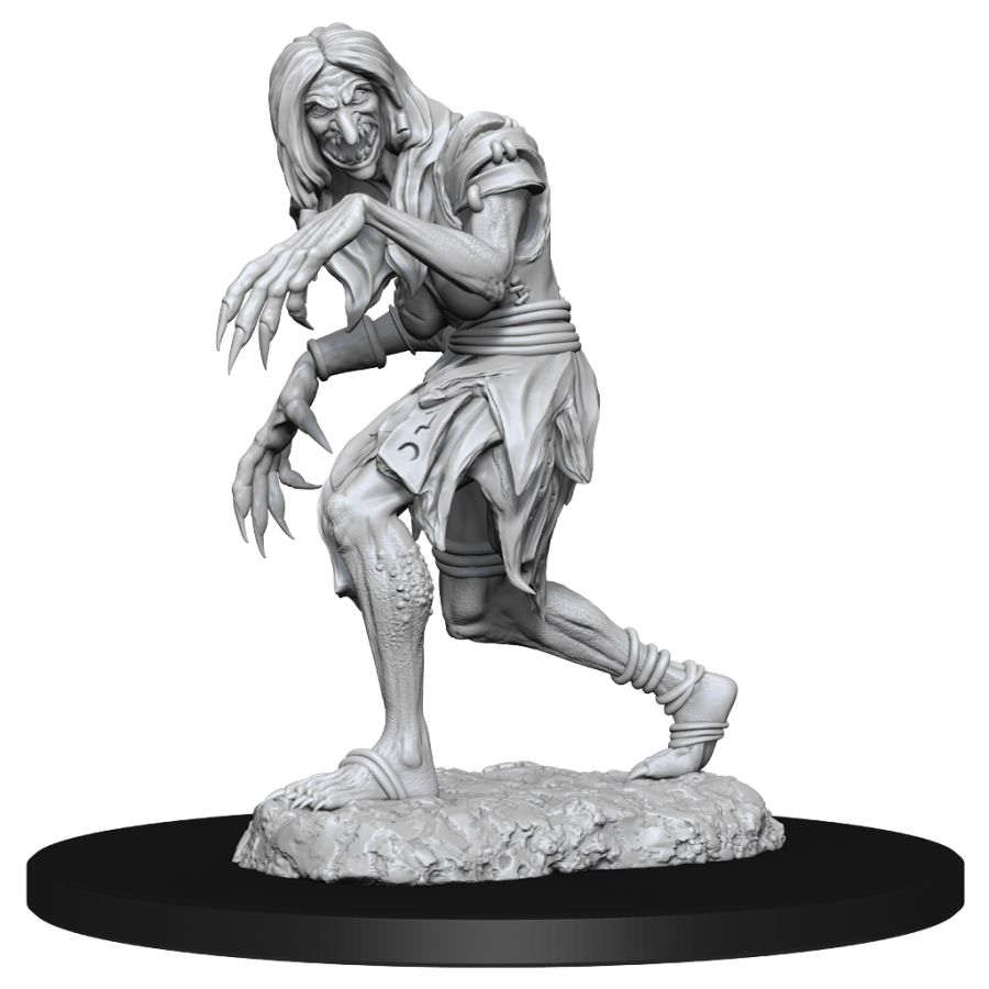 Pathfinder: Deepcuts Unpainted Miniatures: W14 Annis Hag and Green Hag
