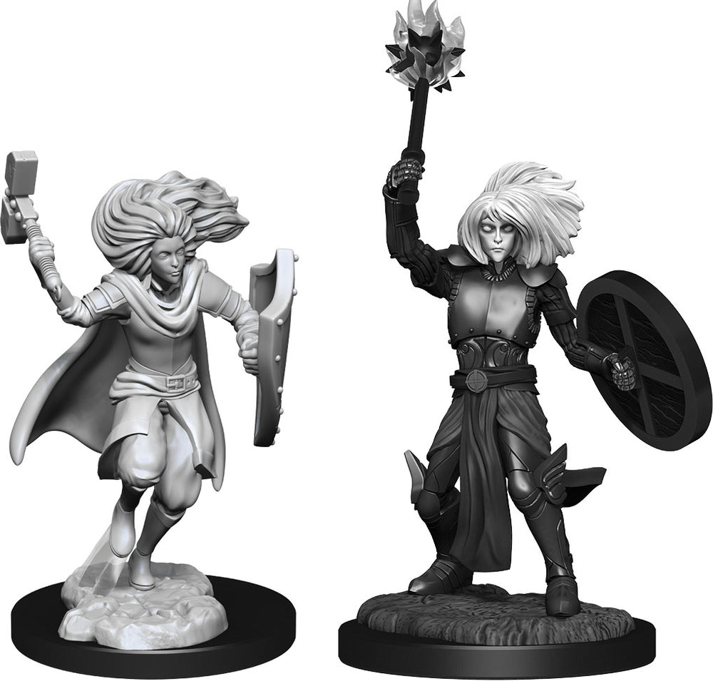 Dungeons and Dragons Nolzur's Marvelous Miniatures: W14 Changeling Clerics