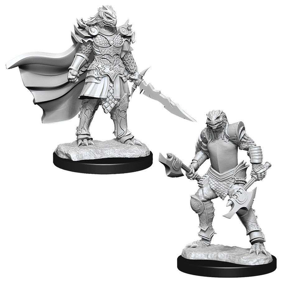 Dungeons and Dragons Nolzur's Marvelous Miniatures: W15 Female Dragonborn Fighter