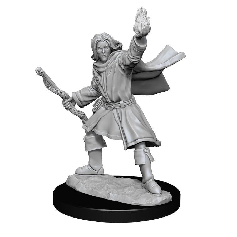 Pathfinder: Deepcuts Unpainted Miniatures: W14 Male Elf Sorcerer