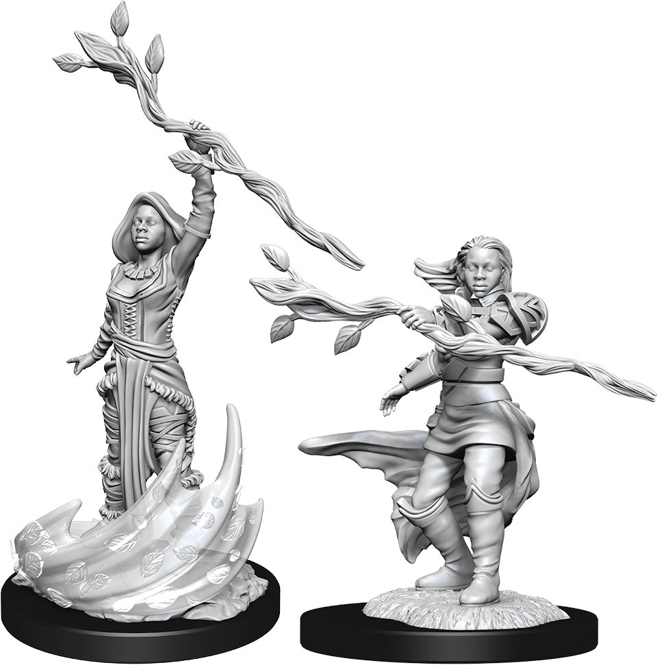 Dungeons and Dragons Nolzur's Marvelous Miniatures: W14 Female Human Druid