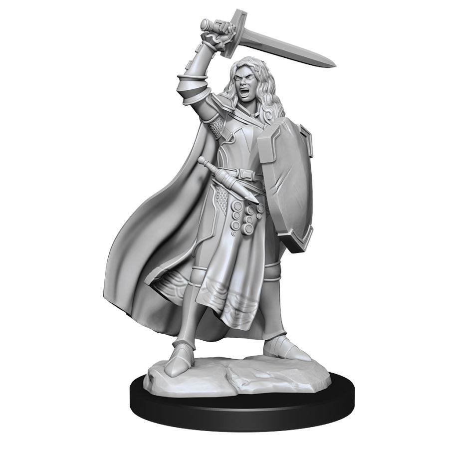 Pathfinder: Deepcuts Unpainted Miniatures: W14 Female Human Champion