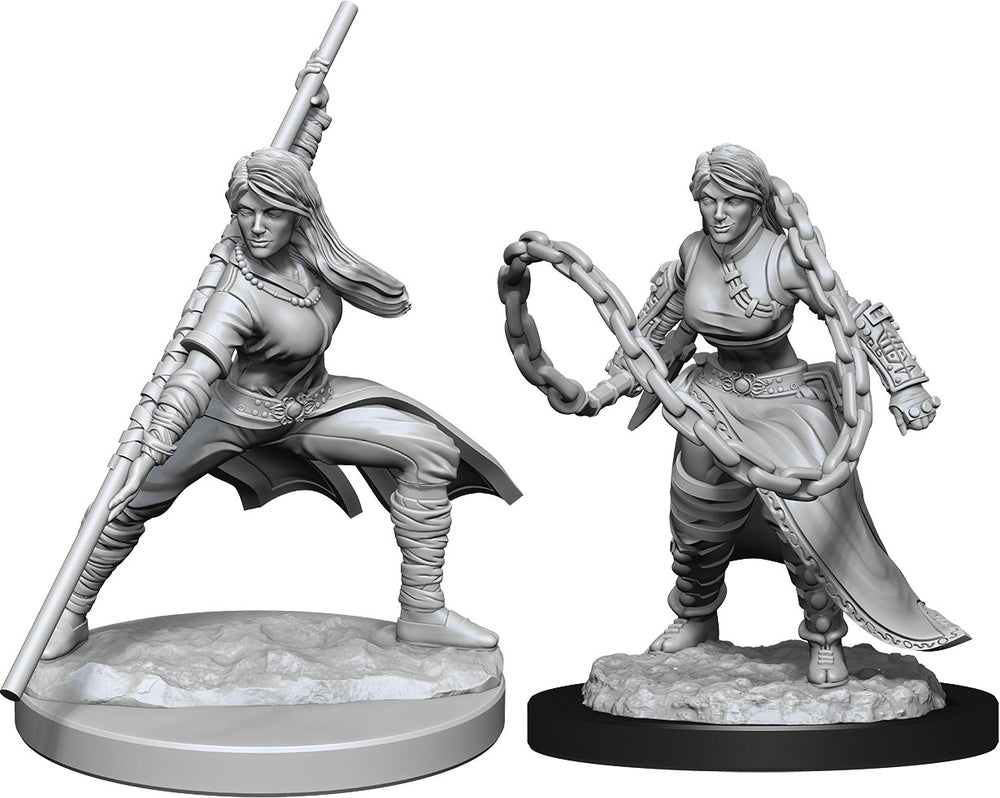 Dungeons and Dragons Nolzur's Marvelous Miniatures: W14 Female Human Monk