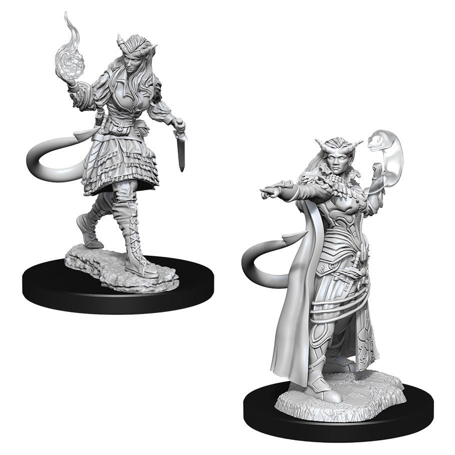 Dungeons and Dragons Nolzur's Marvelous Miniatures: W15 Female Tiefling Sorcerer