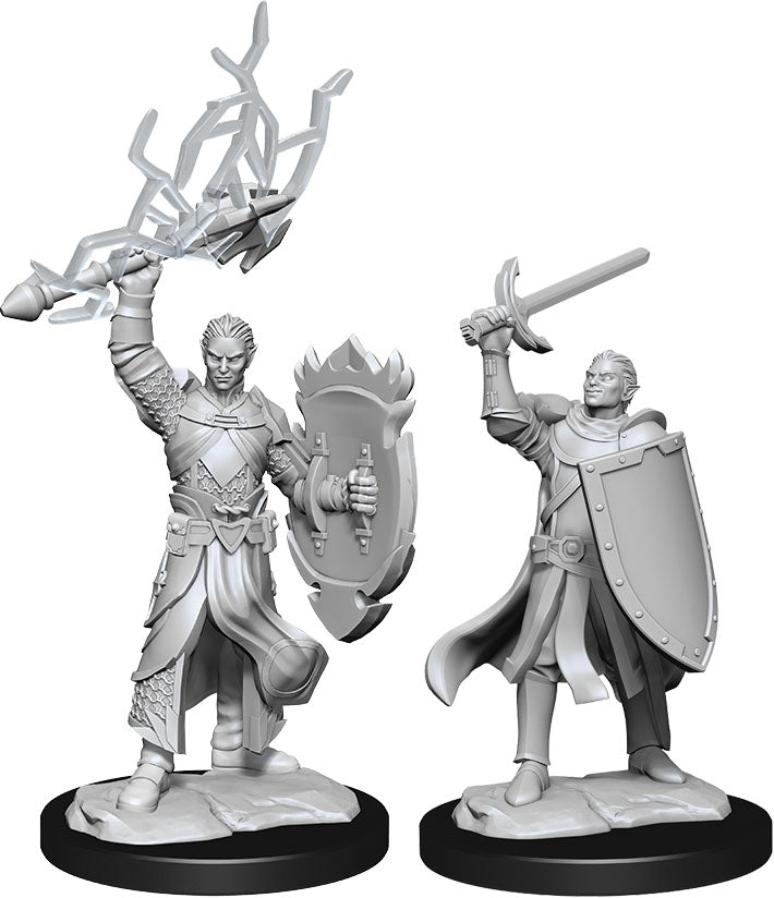 Dungeons and Dragons Nolzur's Marvelous Miniatures: W14 Male Half-Elf Paladin
