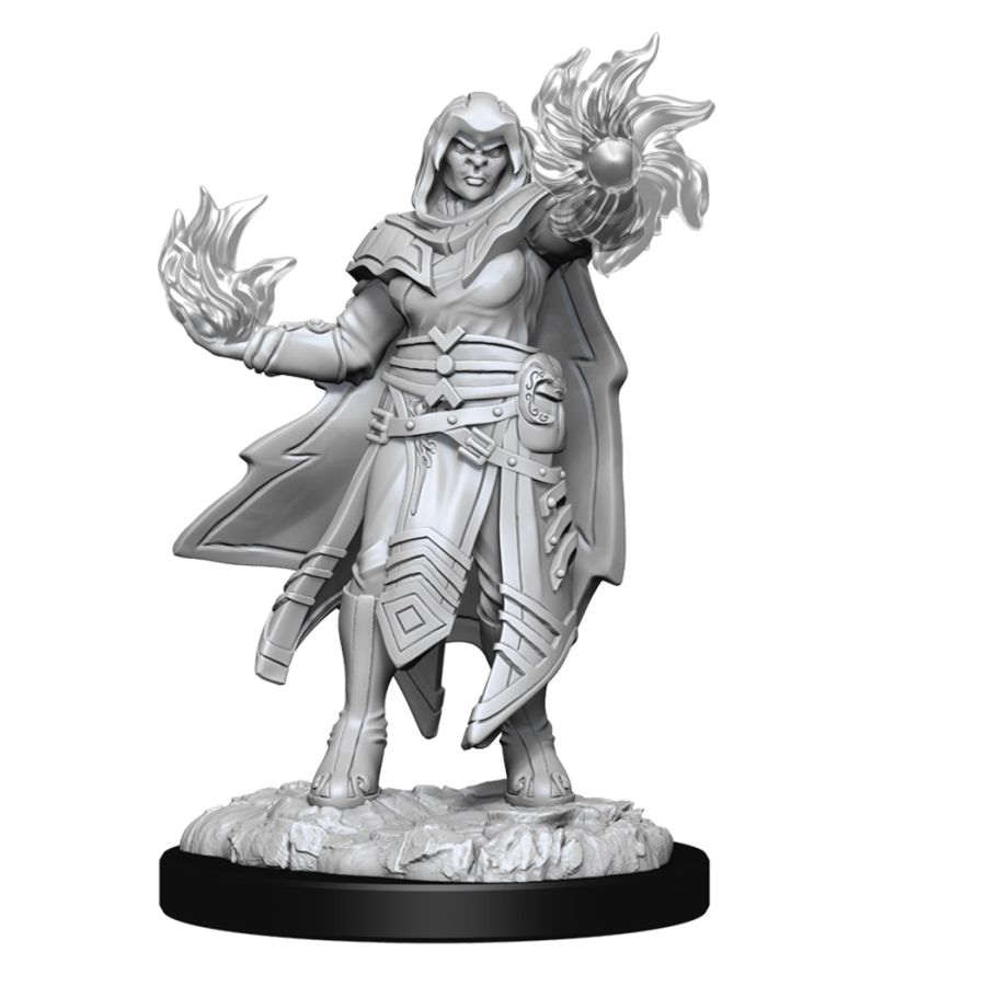 Dungeons and Dragons Nolzur's Marvelous Miniatures: W15 Hobgoblin Male Fighter and Female Wizard