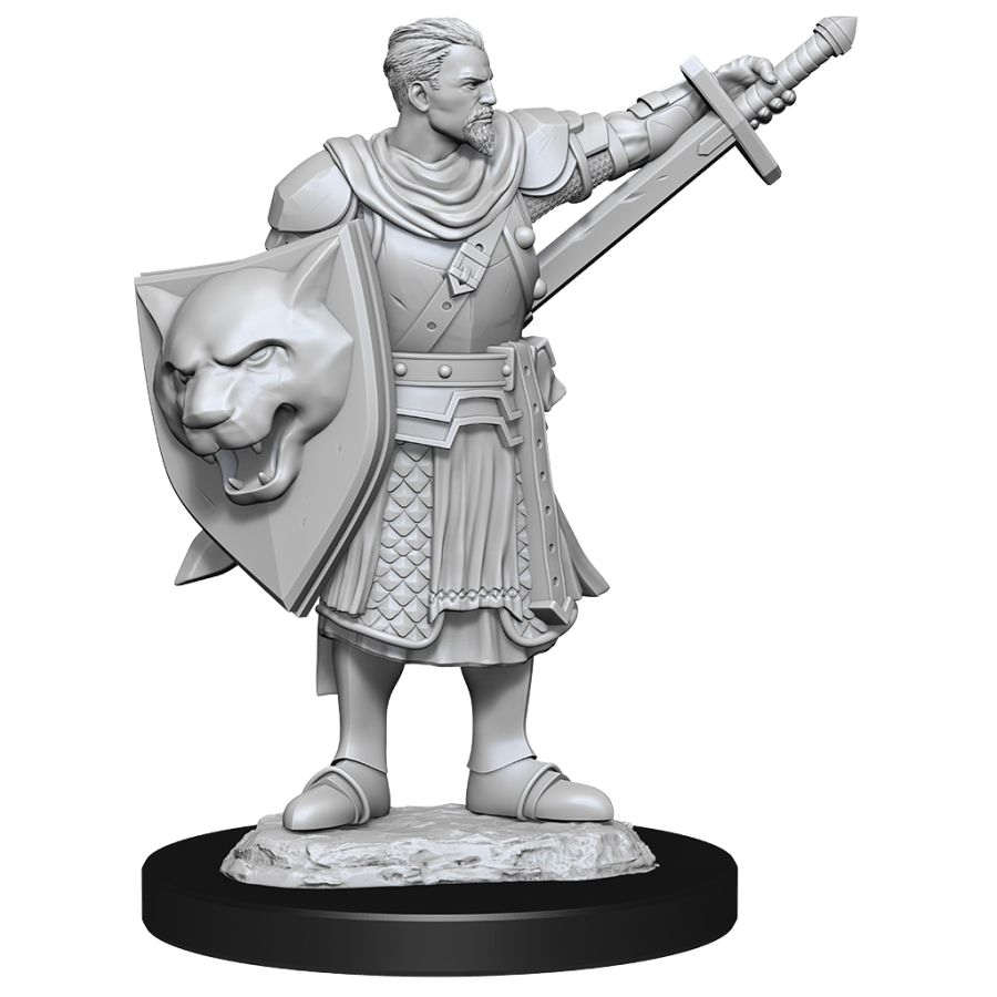 Pathfinder: Deepcuts Unpainted Miniatures: W14 Male Human Champion
