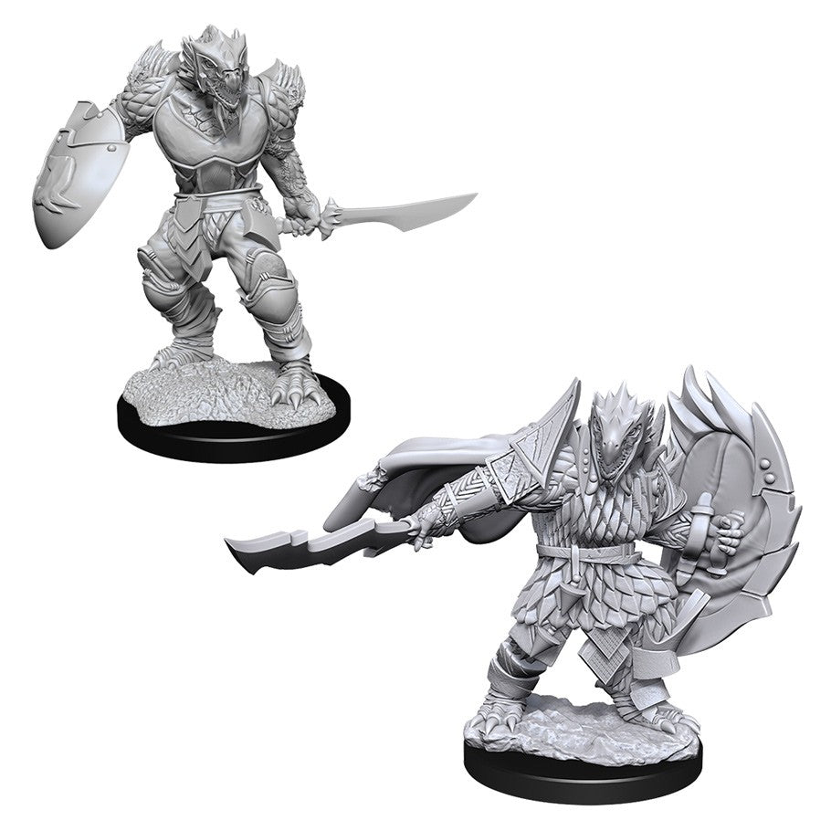 Dungeons and Dragons Nolzur's Marvelous Miniatures: W15 Male Dragonborn Fighter